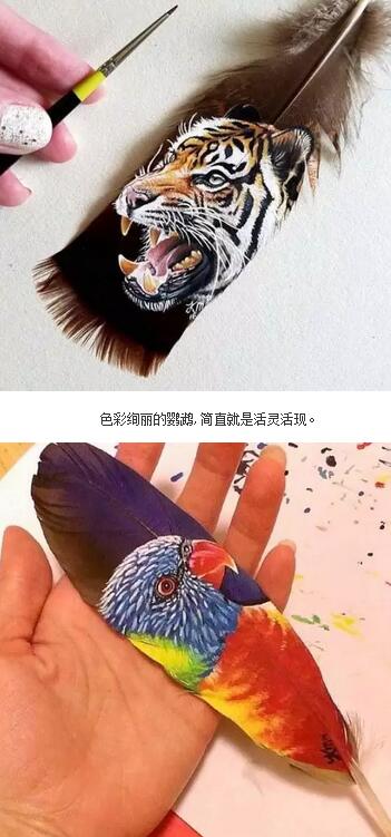 QQ截图20160823120244.jpg